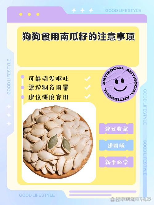 狗狗为什么吃南瓜子会吐