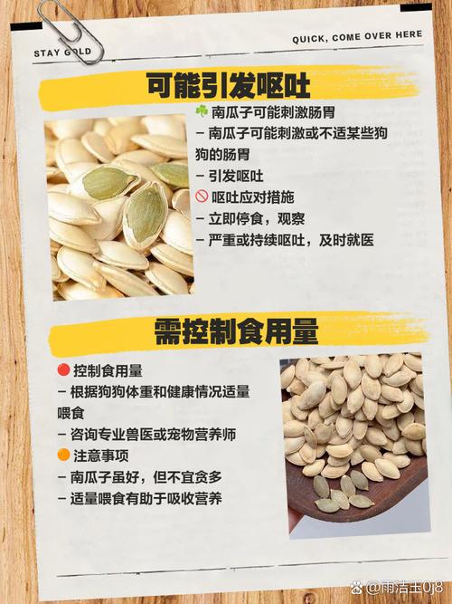 关于狗狗吃南瓜子的问题