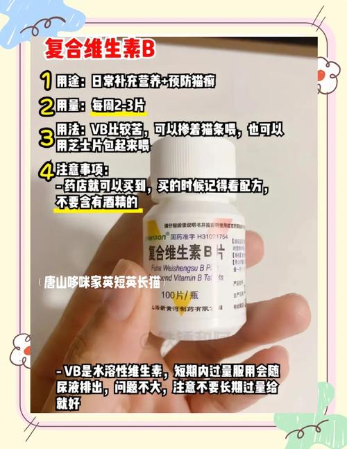 人用复合维生素b给猫喂多少