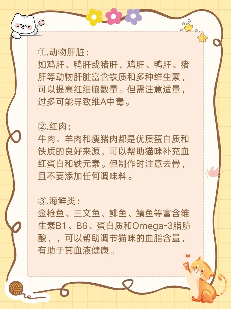 猫咪贫血吃什么比较补