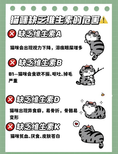 猫咪吃什么蔬果可以补充维生素