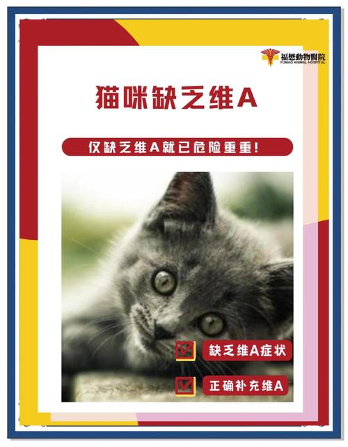猫咪缺微量元素怎么补