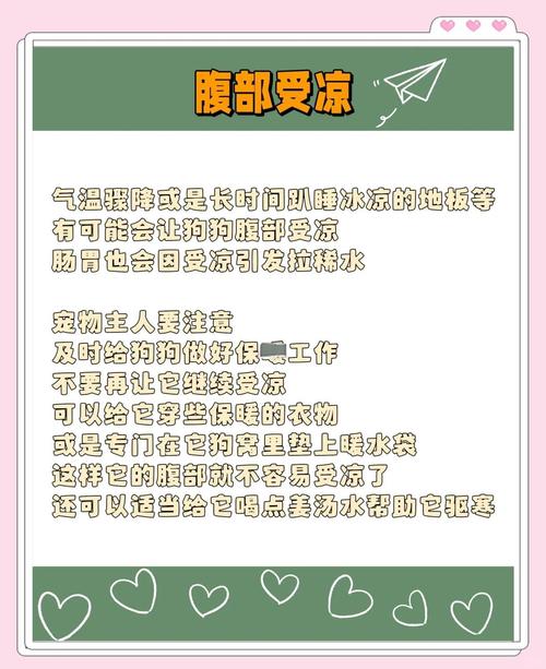 狗狗拉肚子拉水怎么办