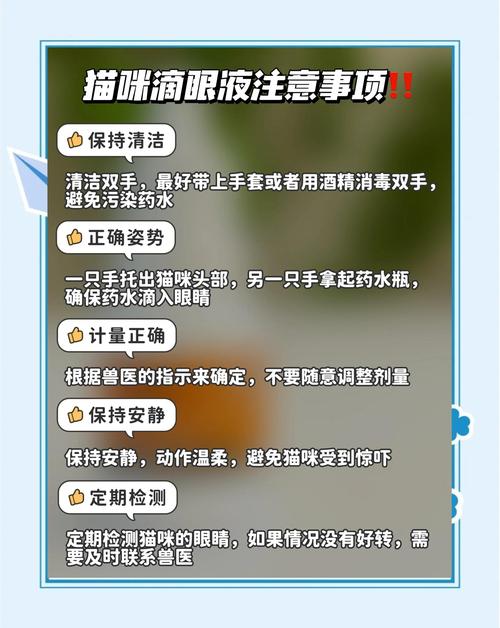 猫咪眼睛发炎用什么眼药水比较好?