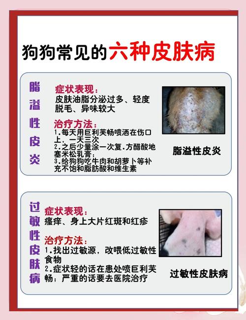 狗狗得冠状怎么治