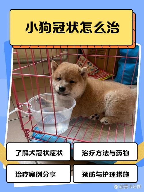 狗狗感染了细小病毒怎么办