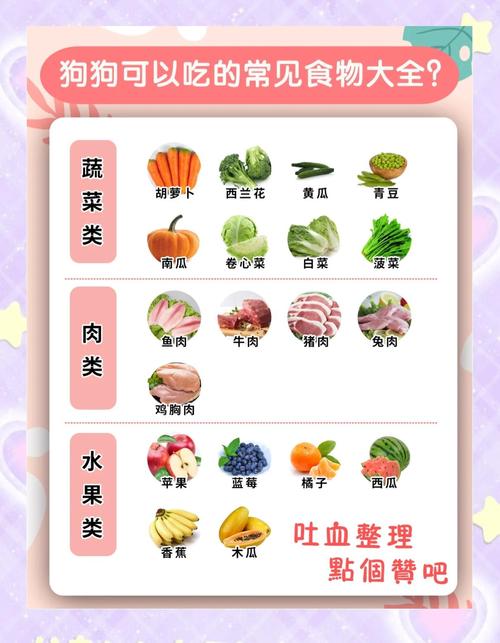 狗狗可以吃的蔬菜水果排名