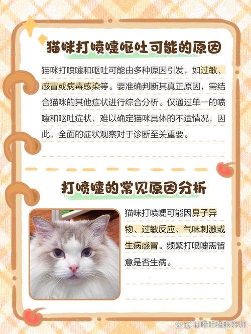 猫打喷嚏呕吐怎么回事