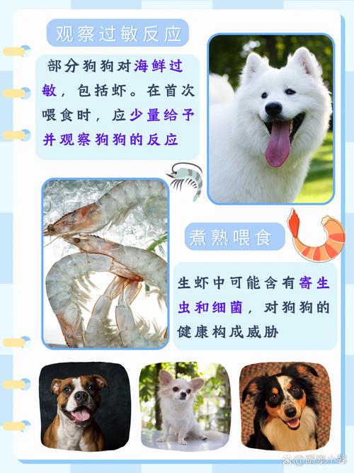 我妈昨天吃虾子把虾子头给狗狗吃了然后晚上狗狗的眼睛就肿了我就喂...