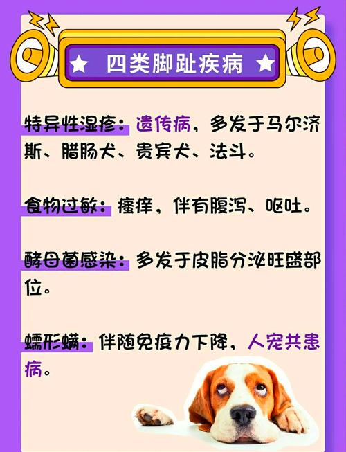 狗狗有脚臭该怎么办