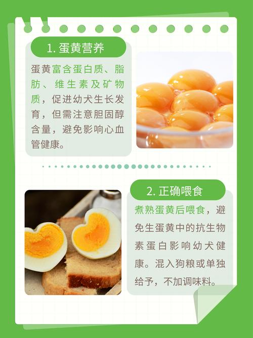 狗一天一个蛋黄可以吗