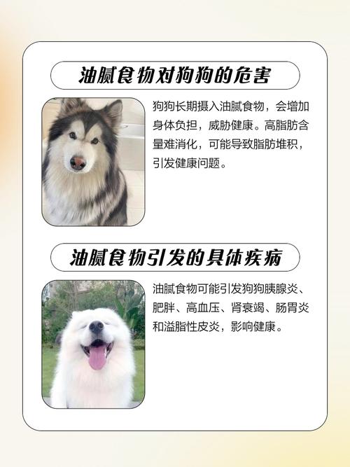 狗狗吃了油就死了