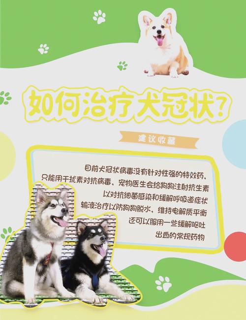 狗狗得了冠状病毒怎么治?