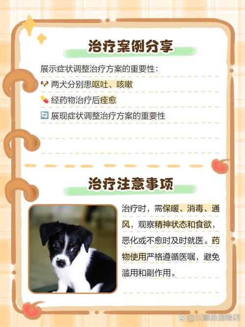狗狗得了冠状病毒有什么好的治疗方法