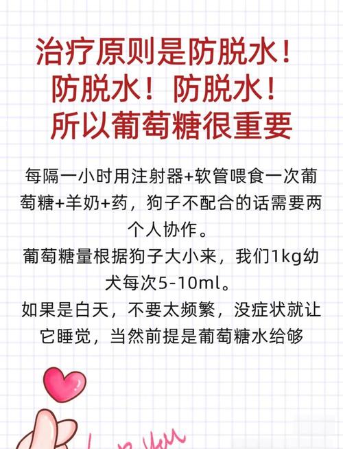 狗狗冠状病毒怎么治疗