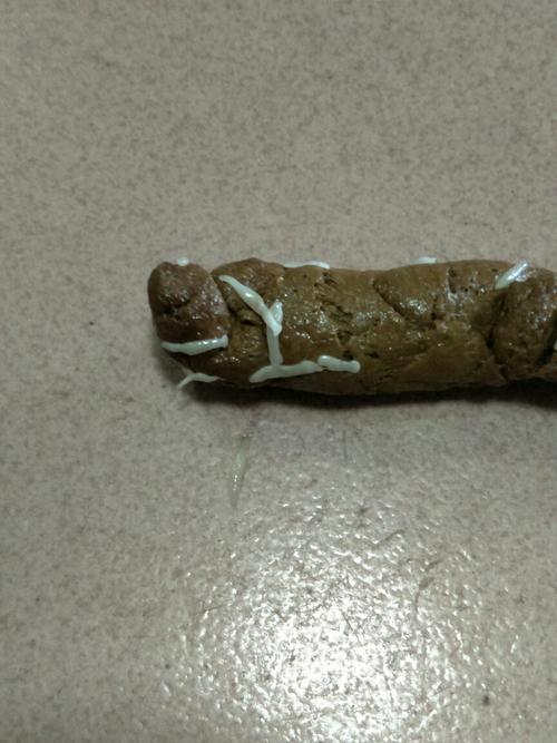 狗拉虫子是怎么回事