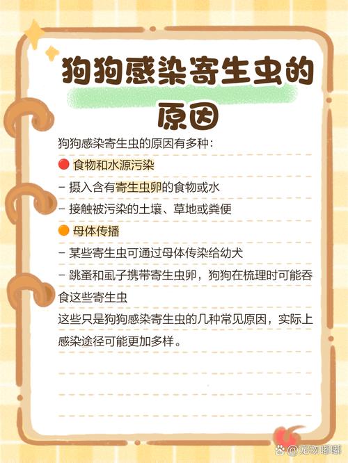 两个月的狗狗拉出虫子怎么办?