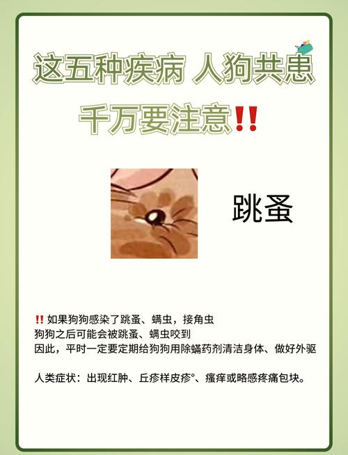 小狗拉虫子会自己好吗