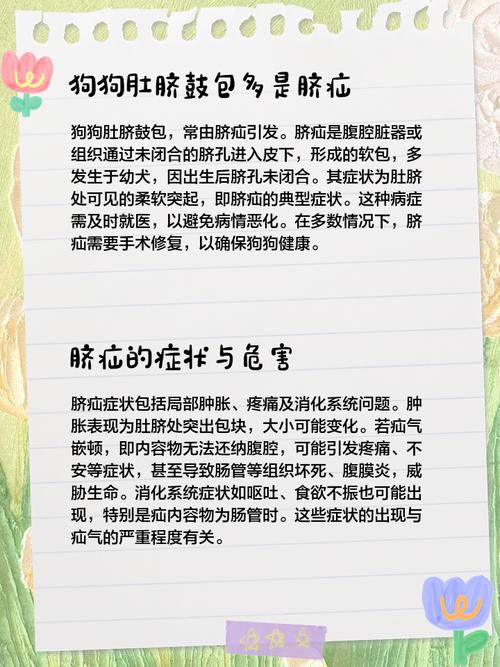 狗狗肚脐眼鼓包咋办