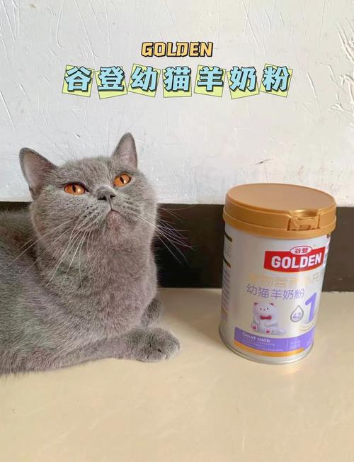 哪些品牌的羊奶粉适合猫咪喝?