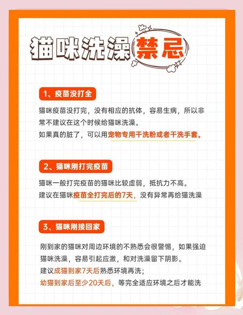 猫咪洗澡攻略Get|让猫咪不再惧怕洗澡