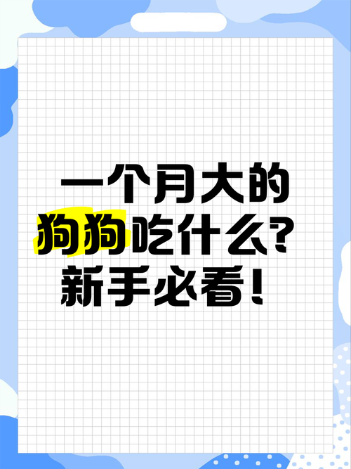 一个月的狗狗吃什么