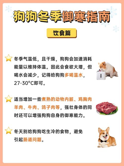 狗狗冬天怕冷吗