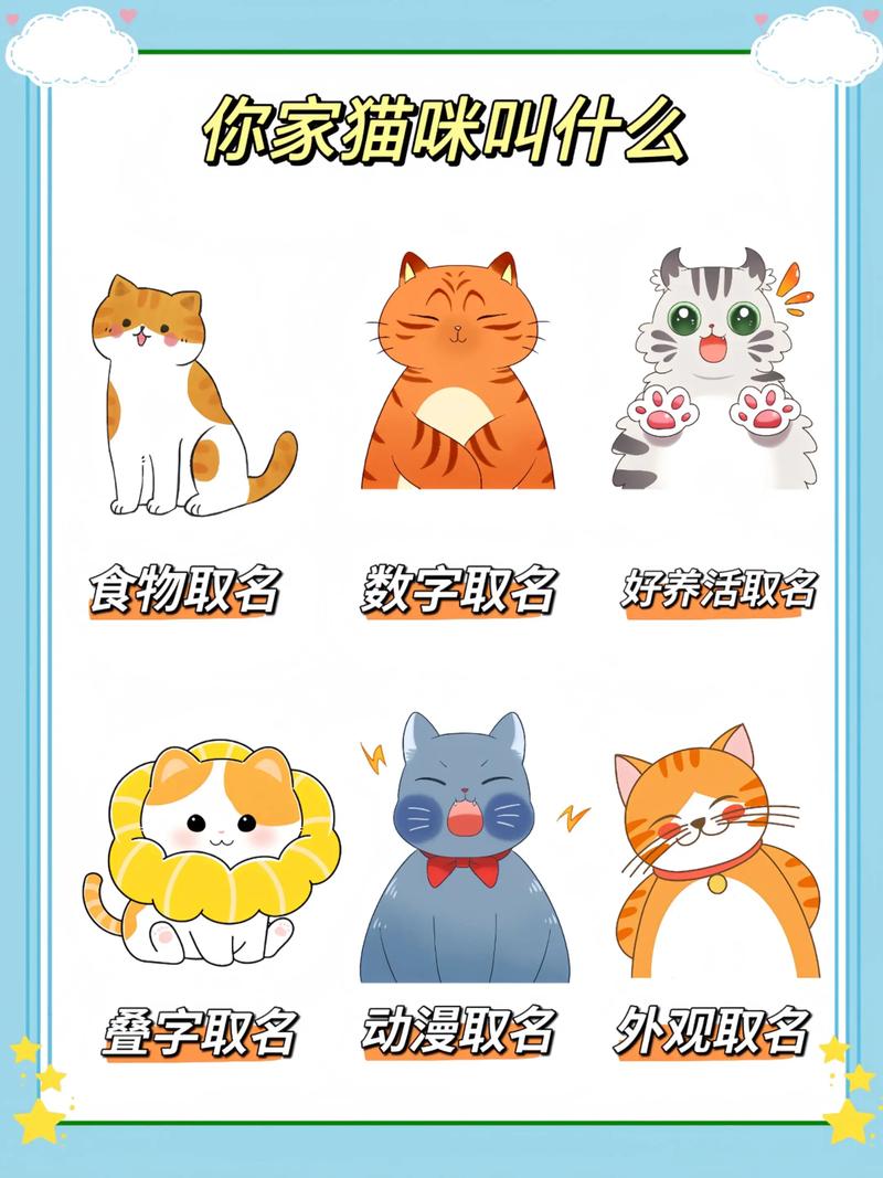 猫咪又土又搞笑的名字大全逗比可爱的有哪些