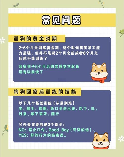 狗狗太笨,连坐下都不会?别急,这里有方法