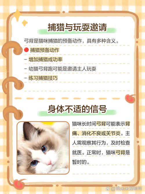 小猫一摸它就弓背竖尾巴怎么回事?