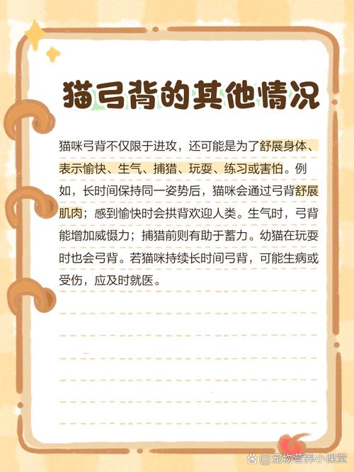 猫咪为什么弓着背竖尾巴蹭你