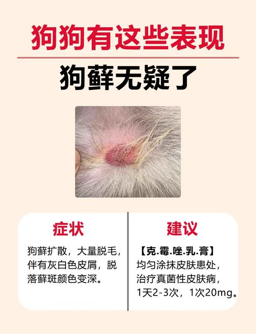 狗狗起癣自己能好了吗?