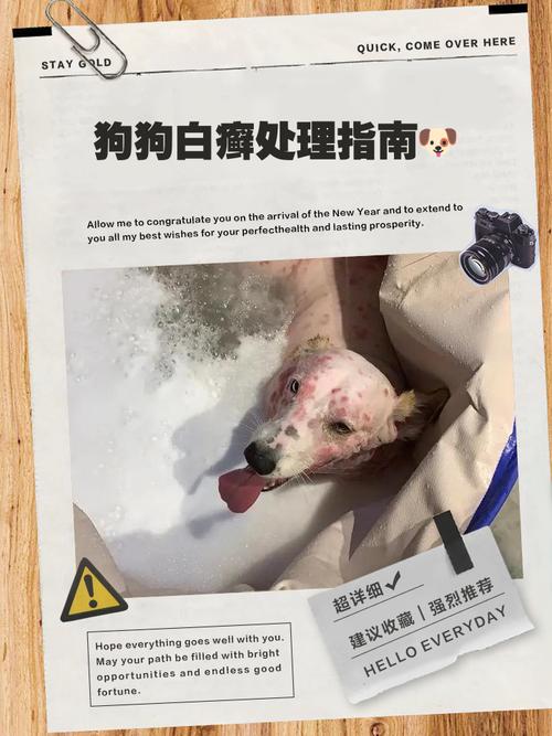 狗狗得了癣,一般多久可以好?