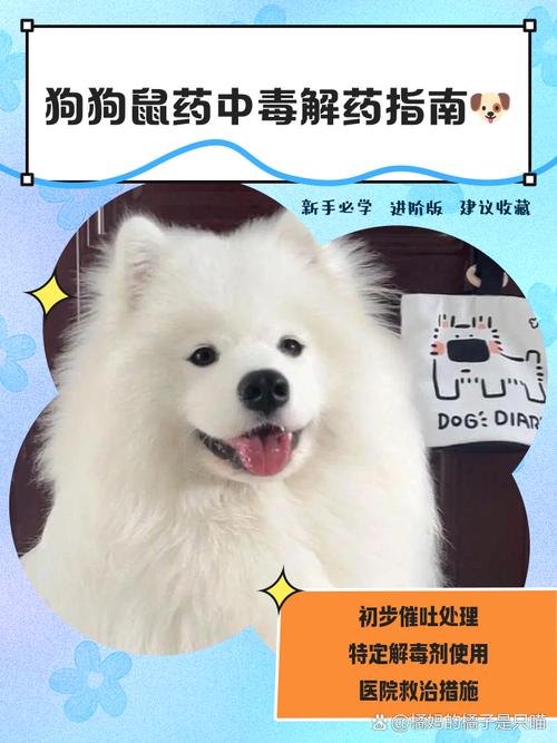 狗吃耗子药了什么症状