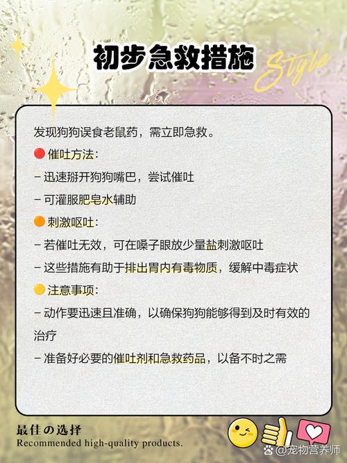 狗吃了老鼠药有哪些症状