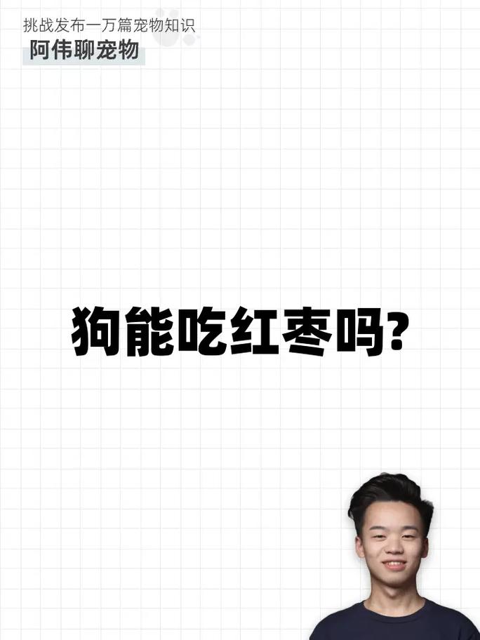 狗狗能吃枸杞,桂圆干之类的吗?