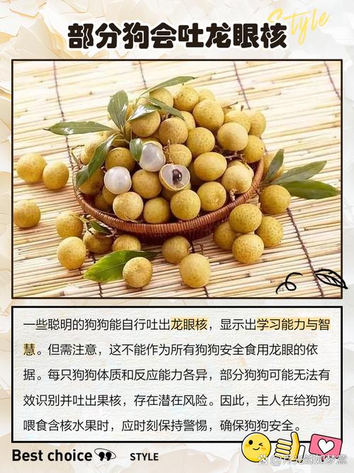 桂圆干狗狗能吃吗