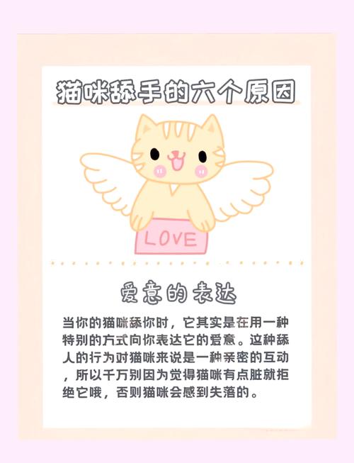 猫舔人手是为什么?