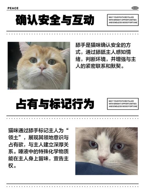 猫咪为什么会舔主人的手后咬一下?
