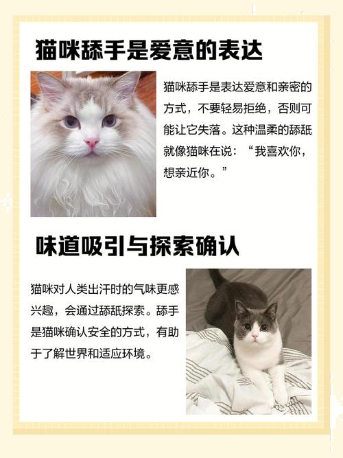 为啥猫喜欢舔人手?