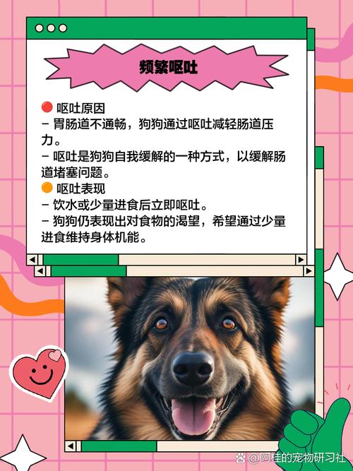 怎么判断狗狗是肠堵塞