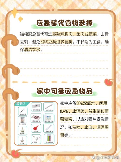 家里没猫粮了怎么应急