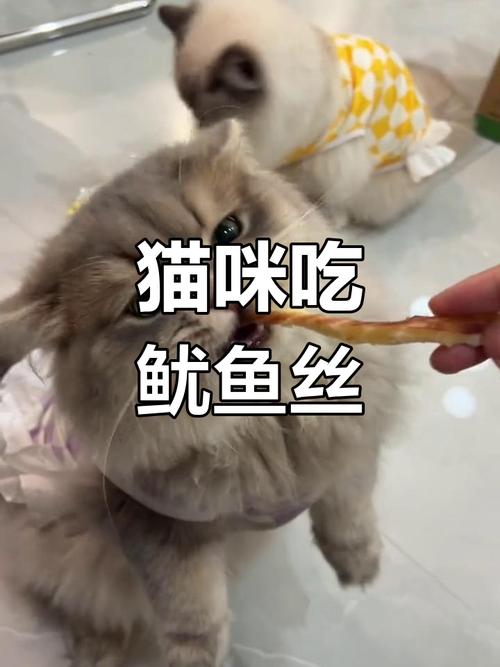 猫吃了一小块鱿鱼丝没事吧,小猫五个月的小猫可以吃生鱿鱼须吗?