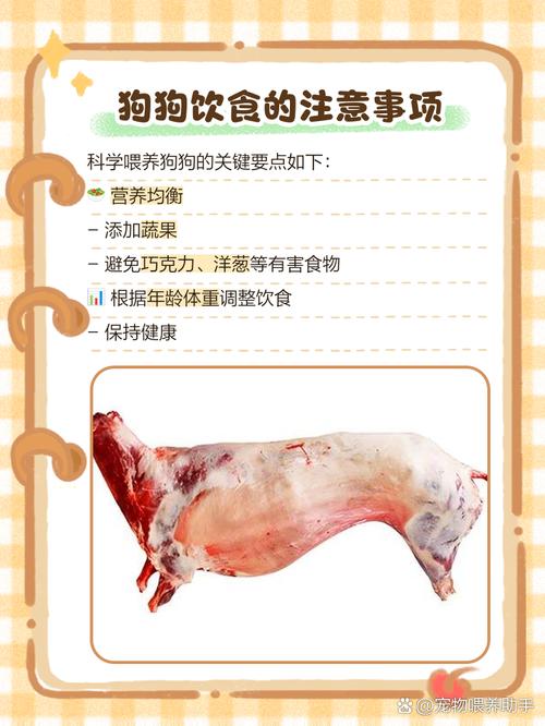 狗狗为什么不能吃羊肉