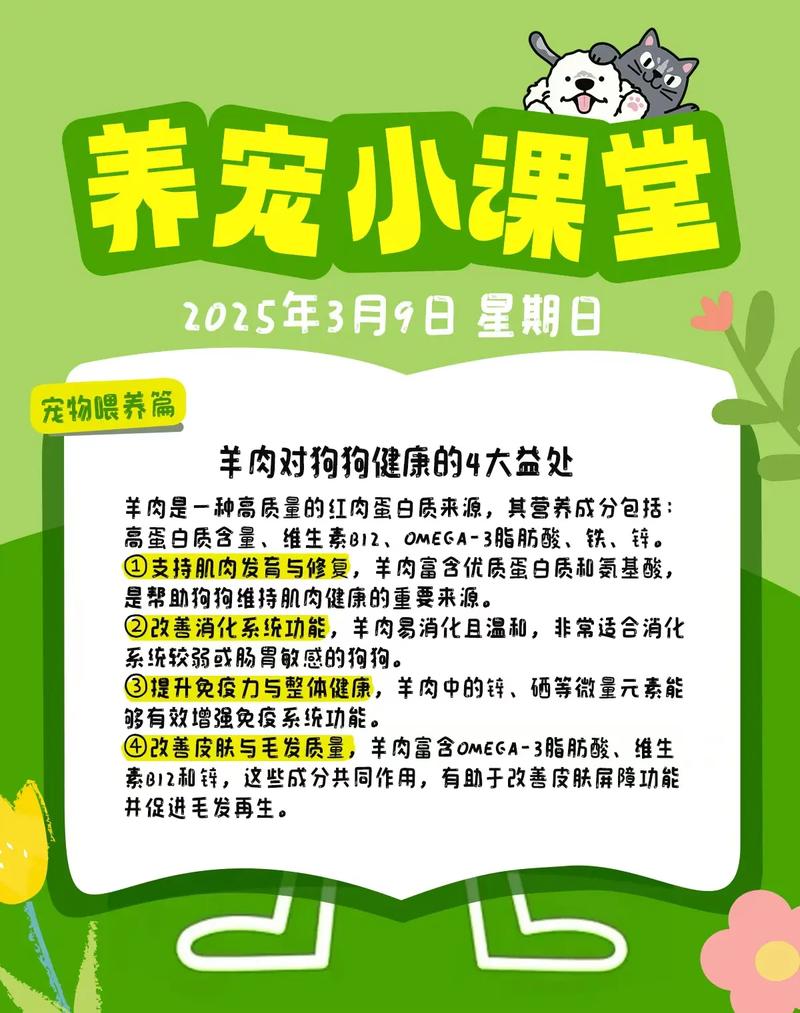 狗狗为什么不敢吃羊肉