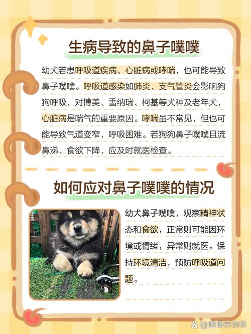 幼犬鼻子一直噗噗噗的怎么办呀