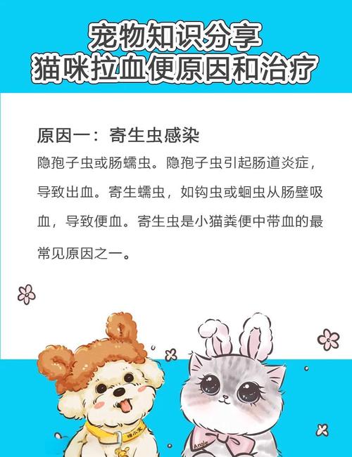 幼猫拉稀带血能自愈吗?