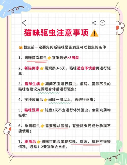 怀孕的猫可以用什么驱跳蚤