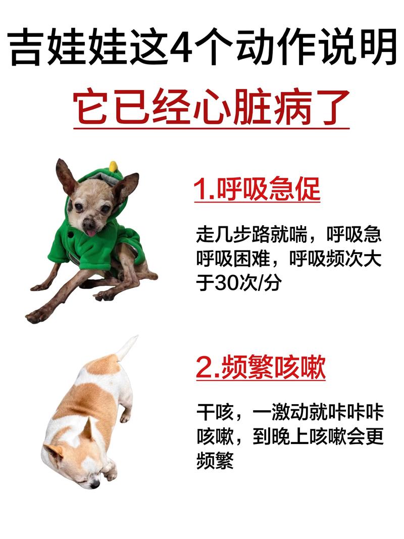 狗心脏病什么姿势睡觉舒服