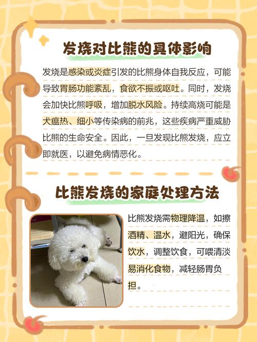 比熊犬发烧了什么状况